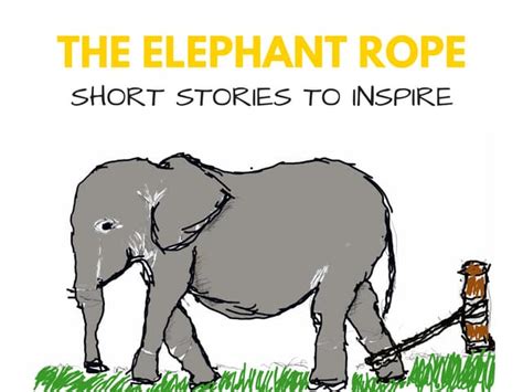 elephant tied with rope|The Elephant and The Rope: What You Believe is .